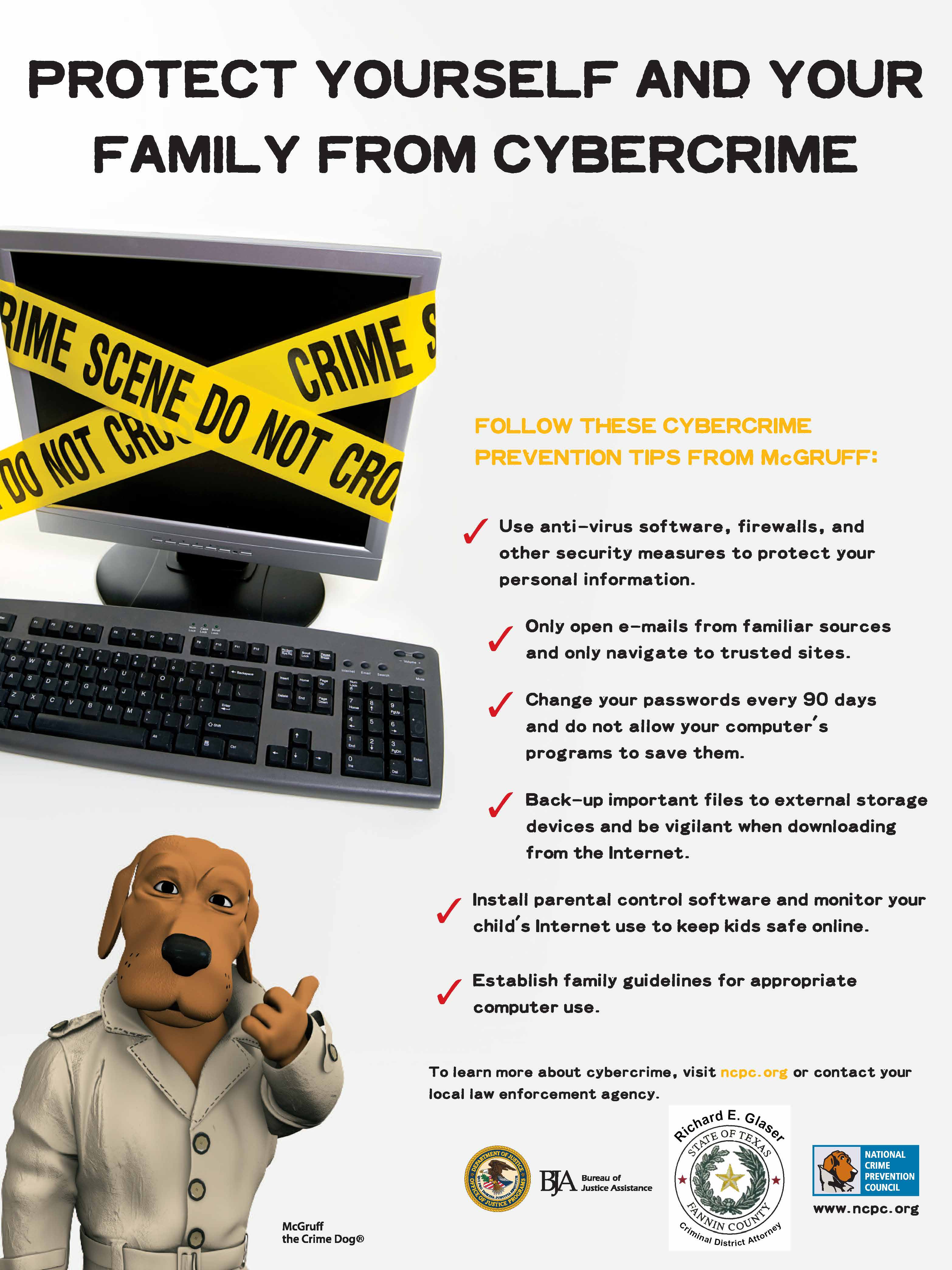 Crime Prevention: Cybercrime -- CRIMEN CIBERNÉTICO